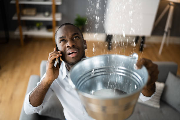 Best Mold removal after water damage  in Mcdonald, PA