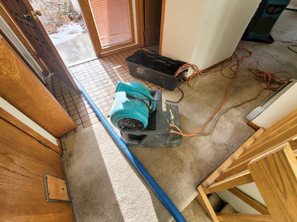 Best Water damage restoration near me  in Mcdonald, PA