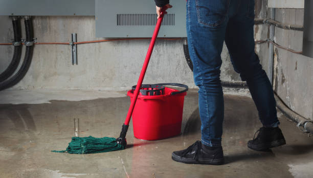 Best Water damage restoration mold remediation  in Mcdonald, PA