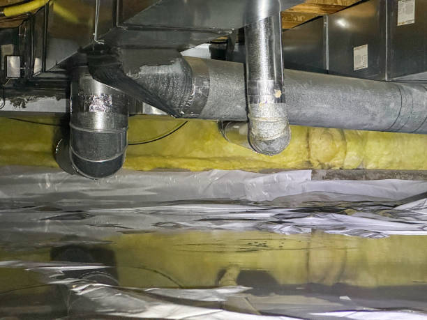 Best Water damage restoration specialists  in Mcdonald, PA