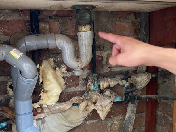 Best Water damage cleanup near me  in Mcdonald, PA