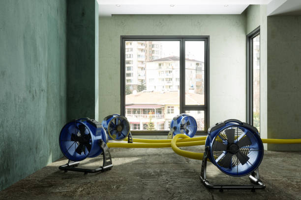 Sewage cleanup and water damage restoration in Mcdonald, PA