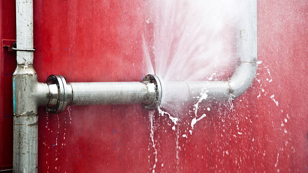 Best Water damage repair service  in Mcdonald, PA
